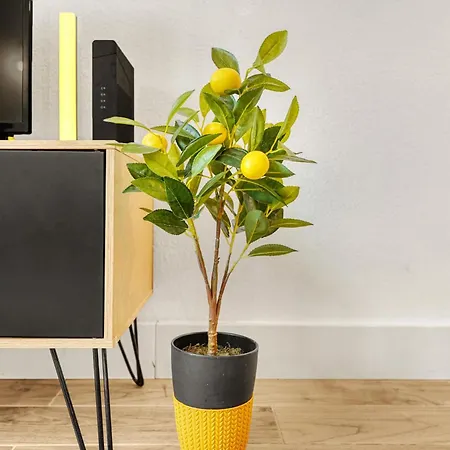 La Citronnelle - Hyper-centre Apartment Toulouse